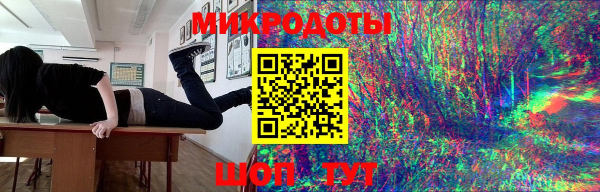 Обь  Галлюциногенные грибы Psilocybine cubensis  Вход с VPN 